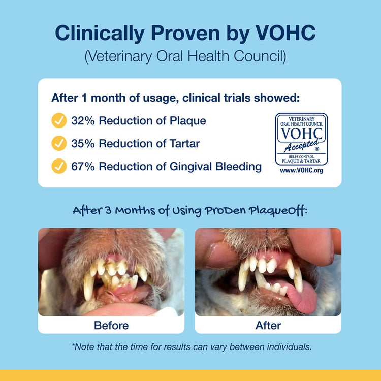 Proden dental bones showing how they transform dental health and remove tartar