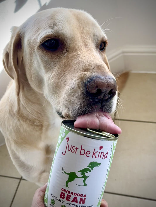 Give a Dog a Bean - 24 tins SALE!