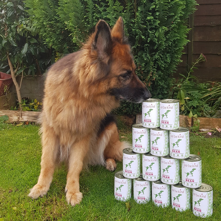 German Shepard with stacked cans of food