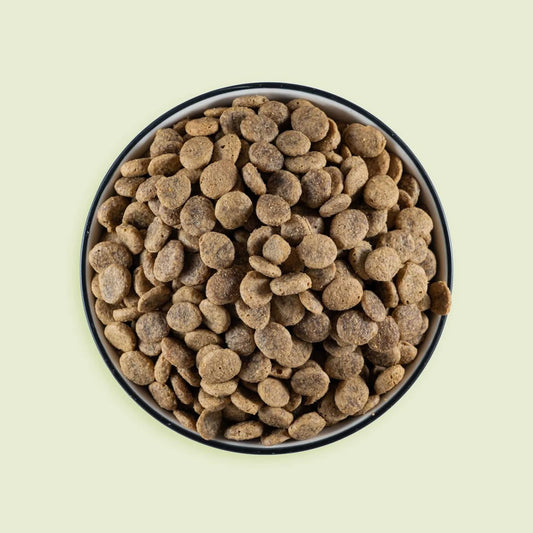 Dog food in bowl