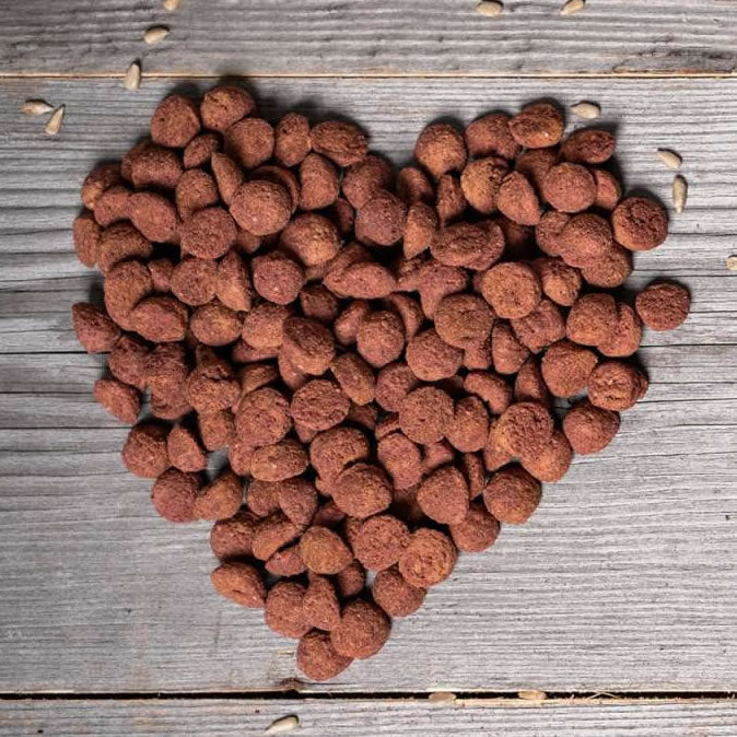 Dog food in heart shape