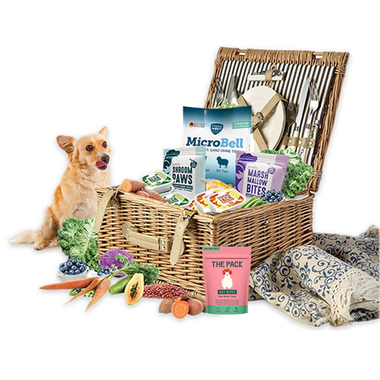 Dog food basket with delicious gut friendly vegan dog products and a dog sitting next to it and licking his lips