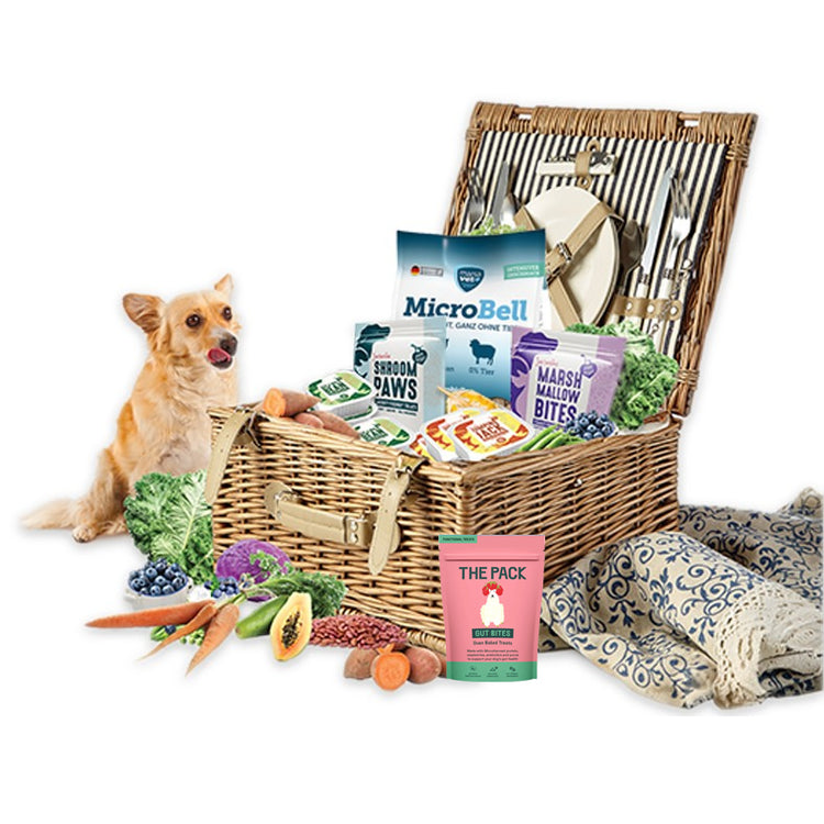 Dog food basket with delicious gut friendly vegan dog products and a dog sitting next to it and licking his lips