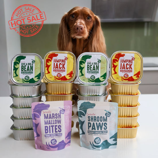 Dog with treats labelled 'Jumping Jack', 'Give a Dog a Bean', 'Marshmallow Bites', and 'Shroom Paws' on a white surface with plant-based Spaniel.