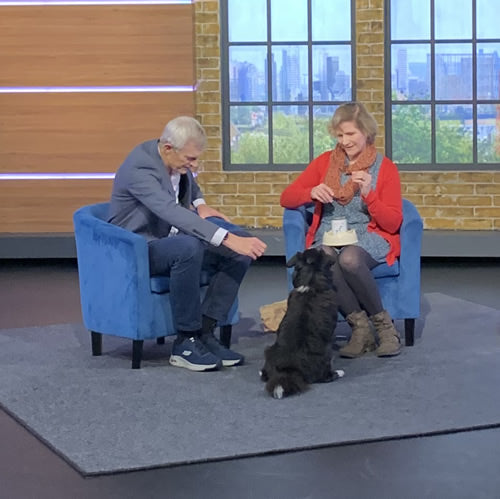 Dog on Jeremy Vine Show