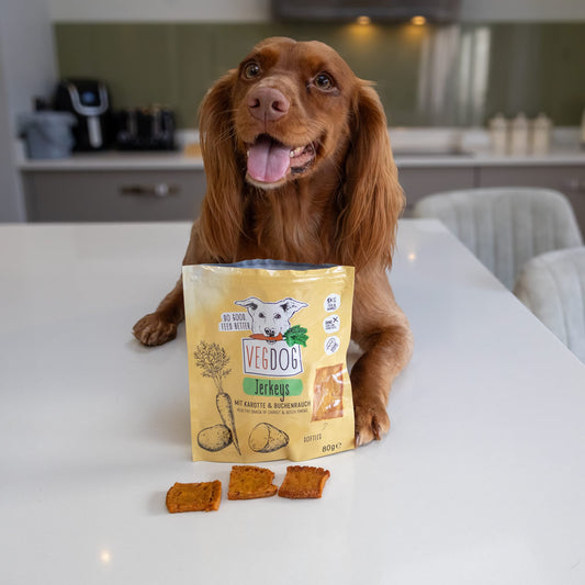 Jerkeys plant-based treats and Spaniel Willow