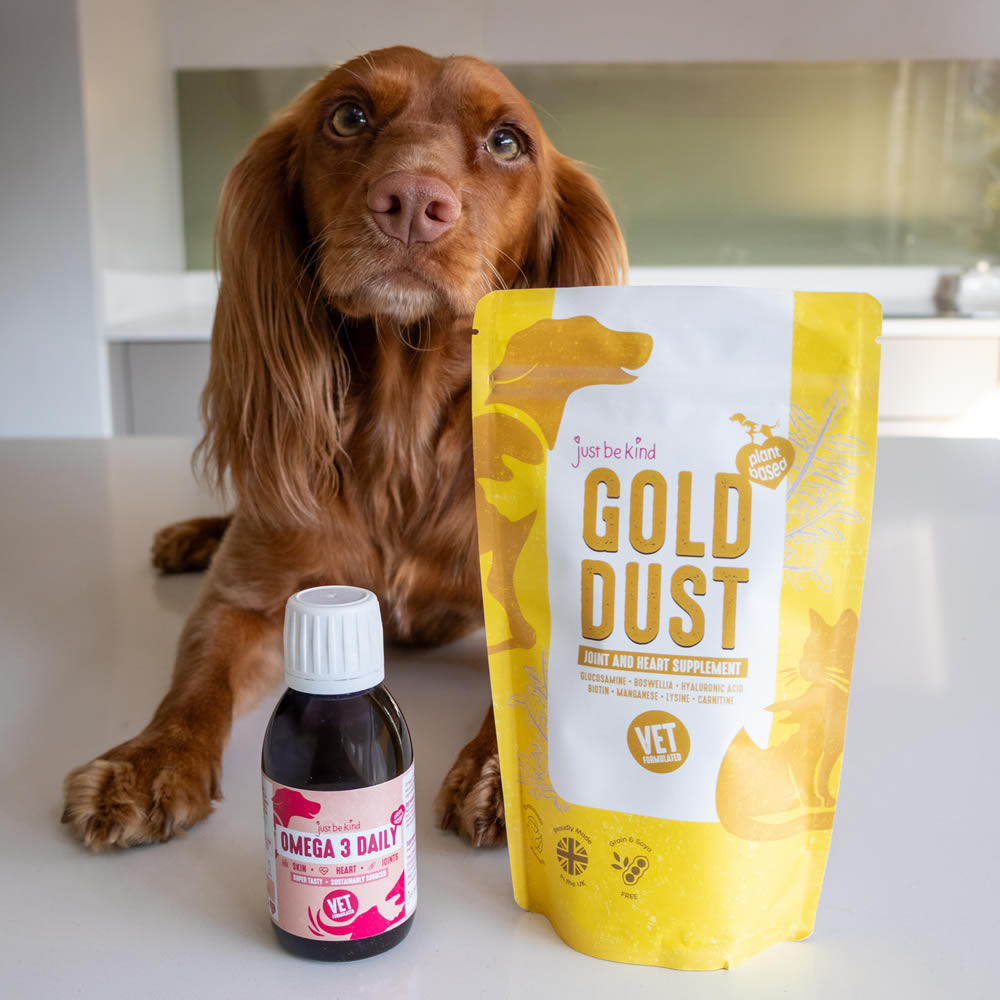 Dog sitting next to a bottle and package of 'Gold Dust' and 'Omega 3 Daily' pet supplements.
