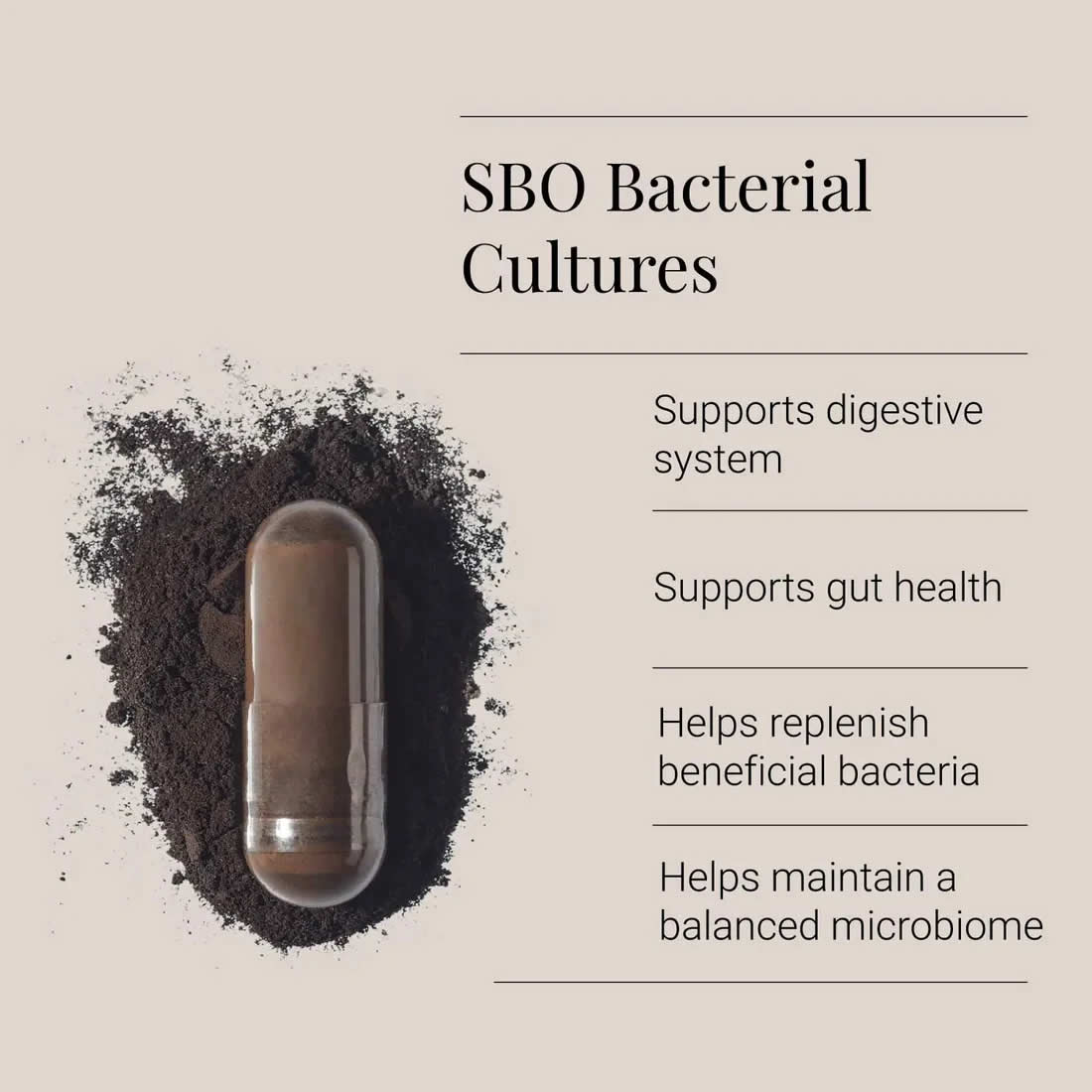 Capsule with dark powder around it on a beige background, promoting SBO bacterial cultures.