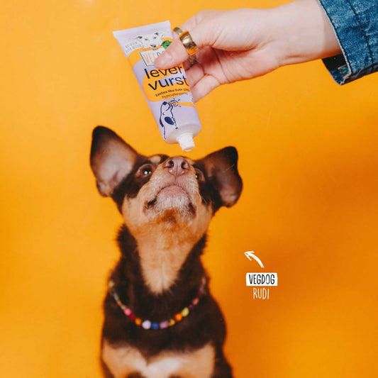 Levervurst hypoallergenic liver sausage pate vegan from Vegdog with dog