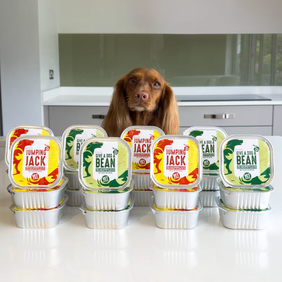 Best vegan wet foods mix n match Jumping Jack and Give A Dog A Bean with Spaniel