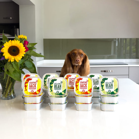 Best vegan wet foods mix n match Jumping Jack and Give A Dog A Bean