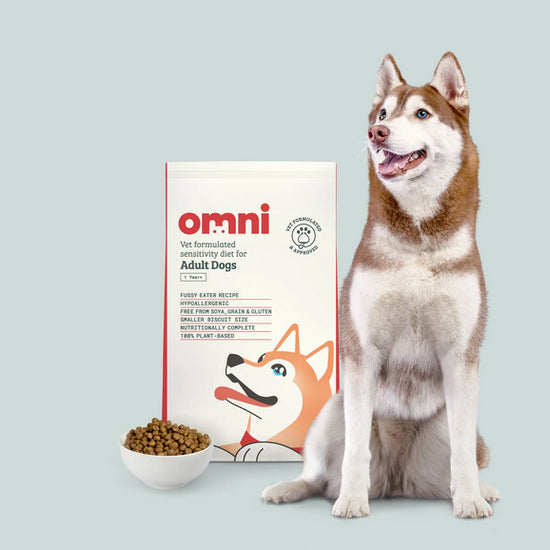 Dog with Omni food pack