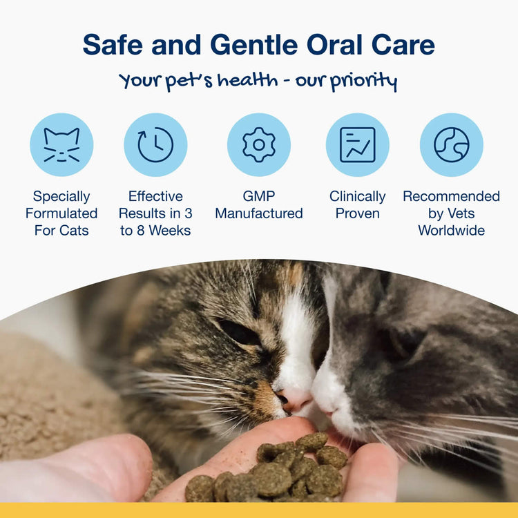 PlaqueOff Cats Dental Bites Vegan