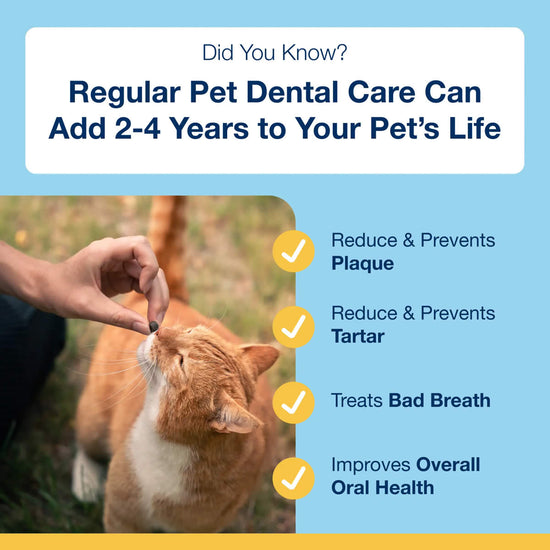 PlaqueOff Cats Dental Bites Vegan