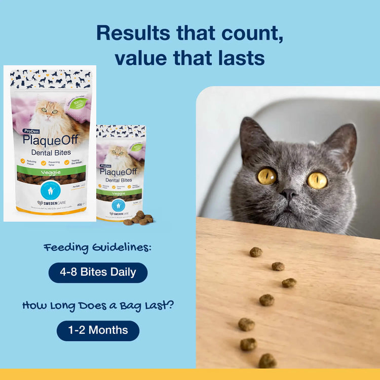 PlaqueOff Cats Dental Bites Vegan