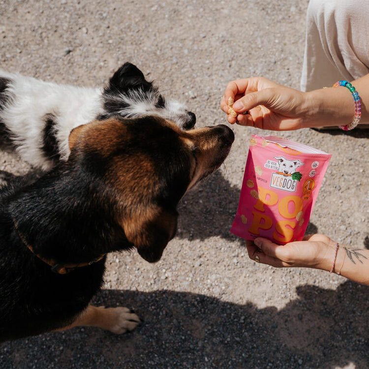 Dogs enjoying POPS low calorie snacks