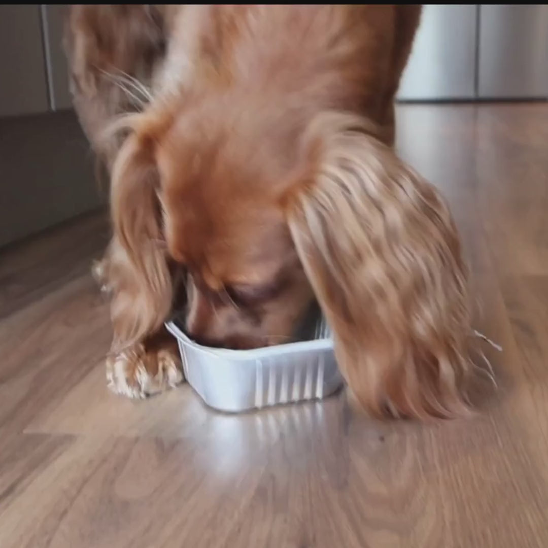 GENTLE ROSIE  • TASTIEST WET DOG FOOD