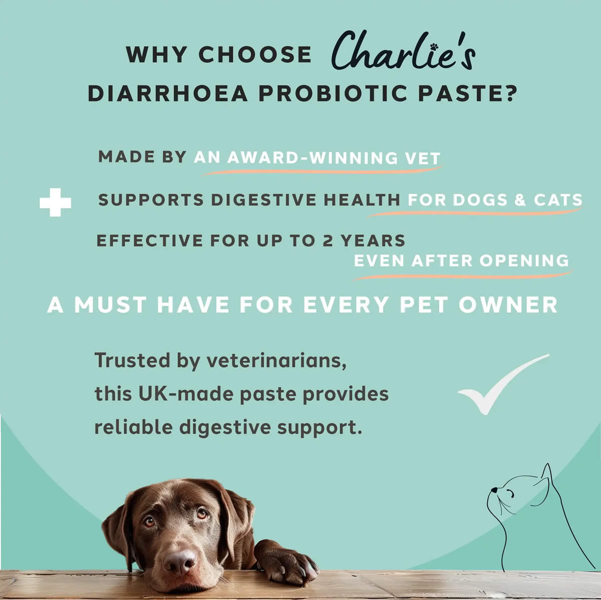 Probiotic paste from Charlie the Vet