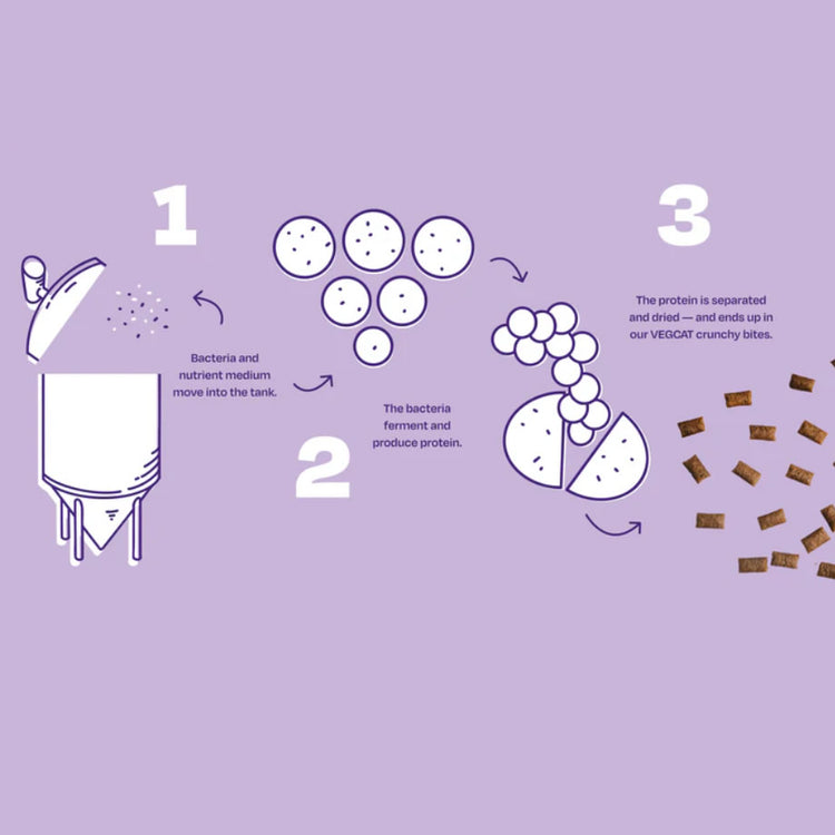 Fermentation highly sustainable clean protein process