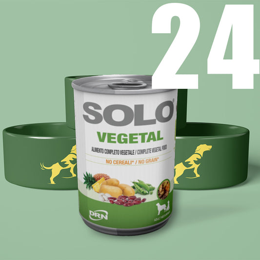 Solo Vegetal 24 pack