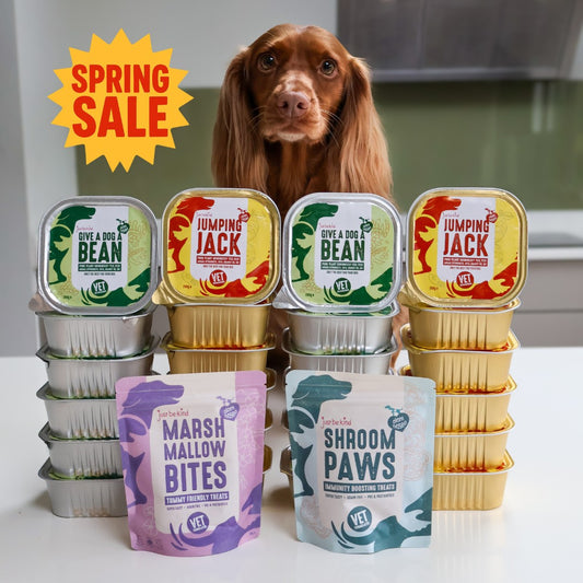 Spaniel with UK's best wet dog food bundle and dog treats Spring Sale label