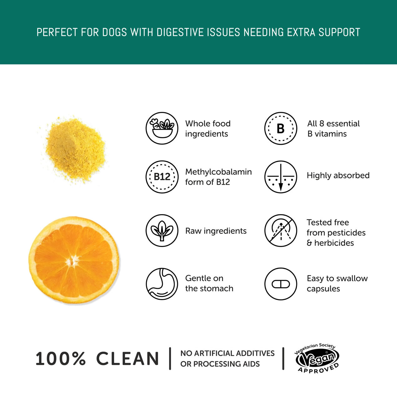 Vitamin B capsules perfect for dogs with digestive issues