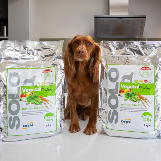 Buy One Get One Free Solo Vegetal x 2 kg bags