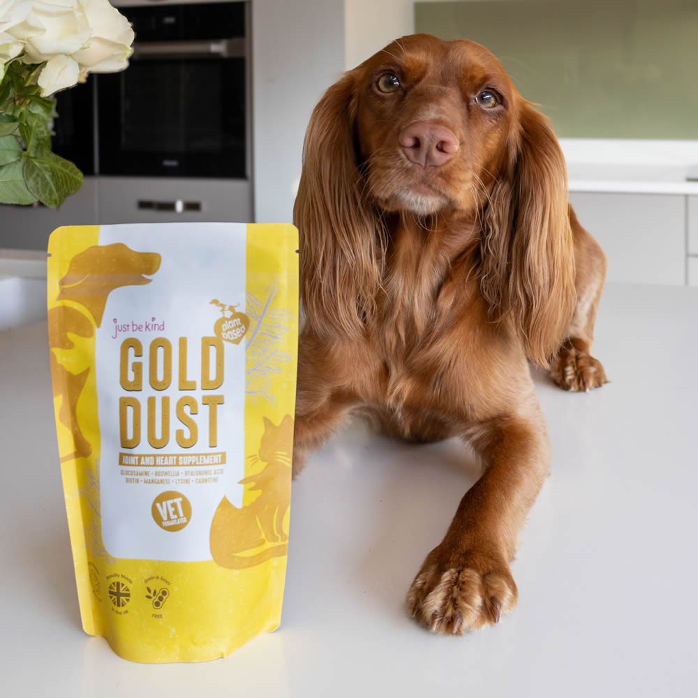 Dog sitting next to a package of Gold Dust pet food in a kitchen 