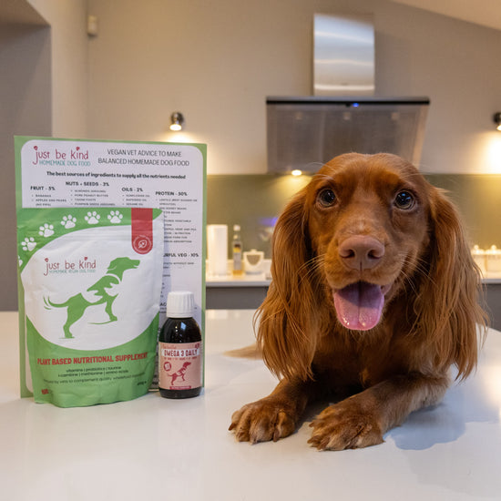 Spaniel Willow with Omega 3 Daily and Just be Kind Supplement