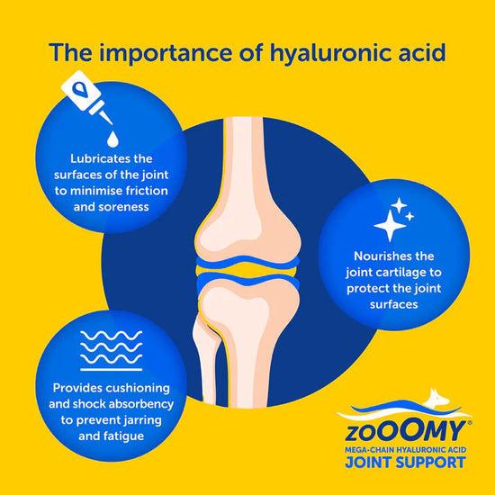 Zooomy Hyaluronic Acid Joint Care Dogs